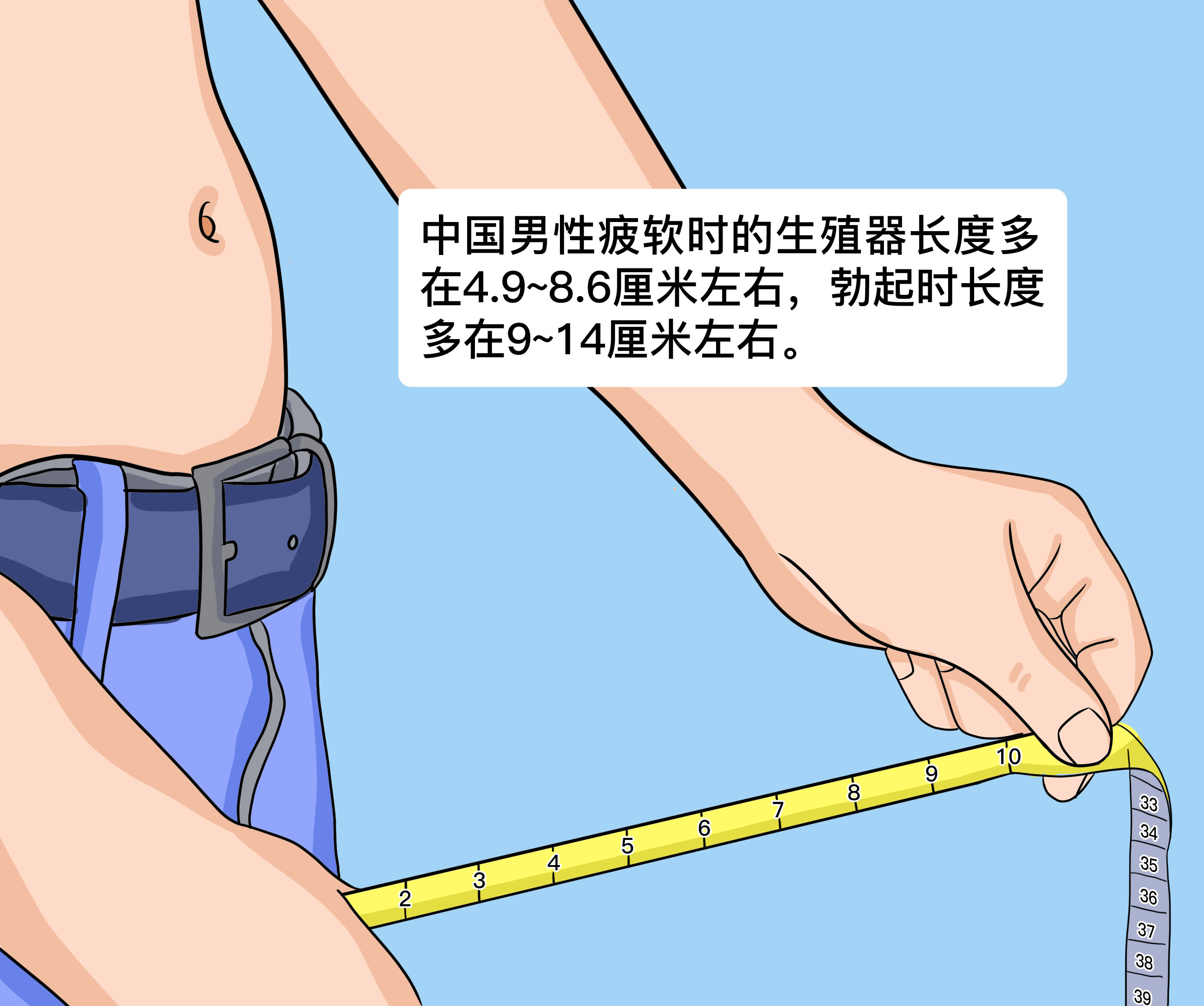 中国男性生殖器长度.jpg