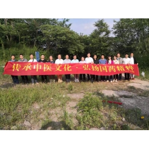 南京市侨联组织在宁侨界人士开展进山采药中医药文化交流活动