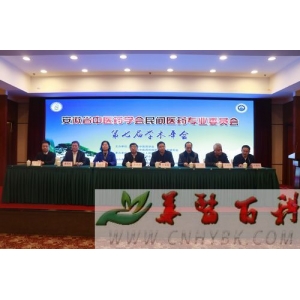 2023年安徽省中医药工作会议召开：“五个聚焦”推进中医药高质量发展