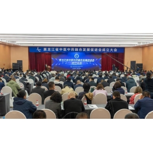 2023年黑龙江省中医药工作会议召开：全面贯彻中医药振兴发展重大工程